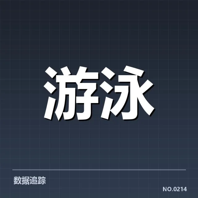 确认的参赛名单与赛程安排细节